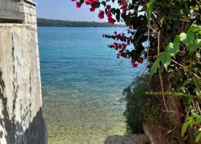 Anmare 펜션 니드리